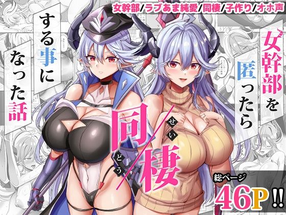 【エロ】女幹部を匿ったら同棲する事になった話