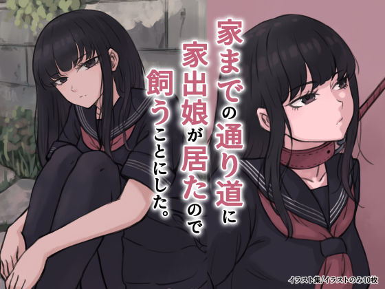 【エロ】家までの通り道に家出娘が居たので飼うことにした